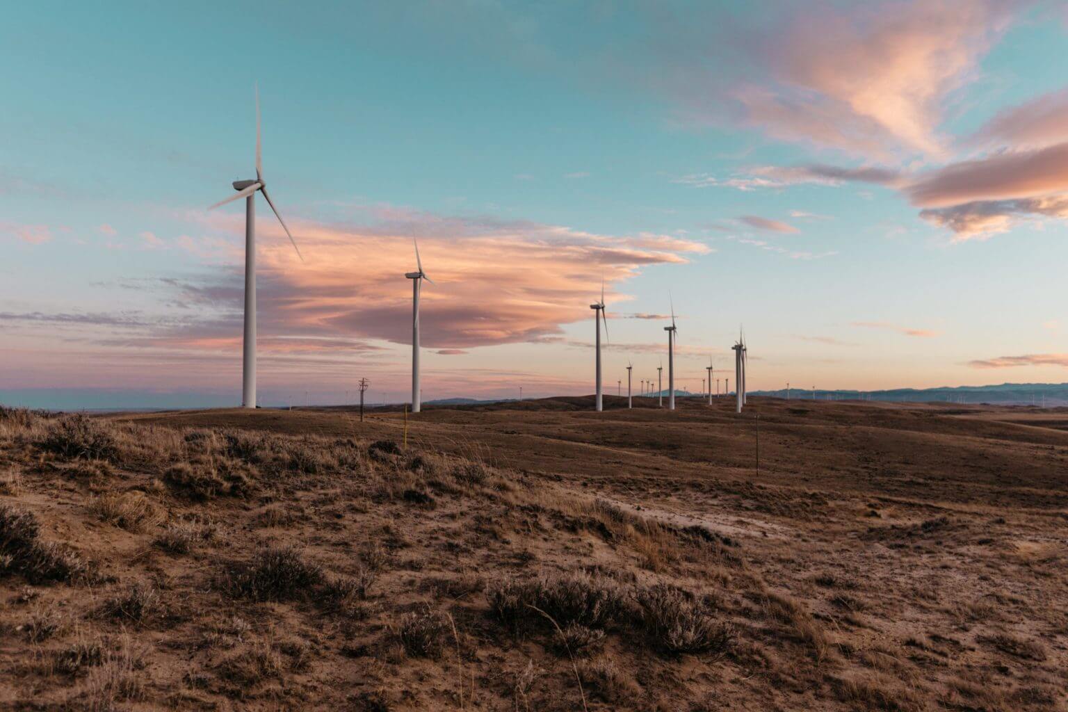 Eagles are making wind turbines safer for birds ACP