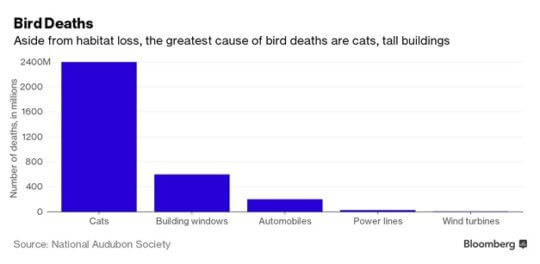 A chart showing bird deaths caused by wind turbines vs cars, buildings, cats, and power lines.
