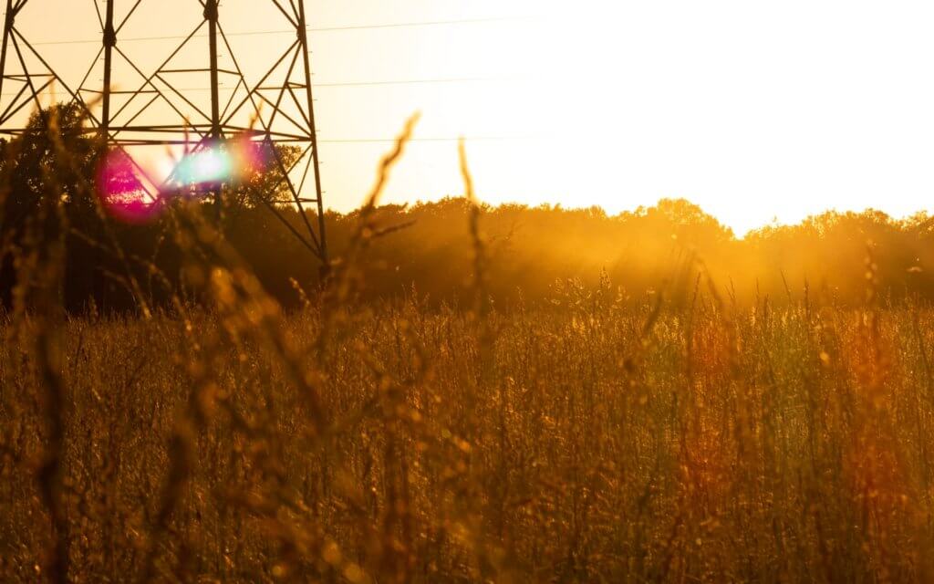 A golden field at sunset with clean power transmission lines in the background.