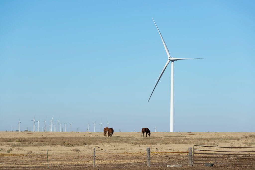 Horses grazing beneath wind turbines at NextEra Energy's Ponderosa site.