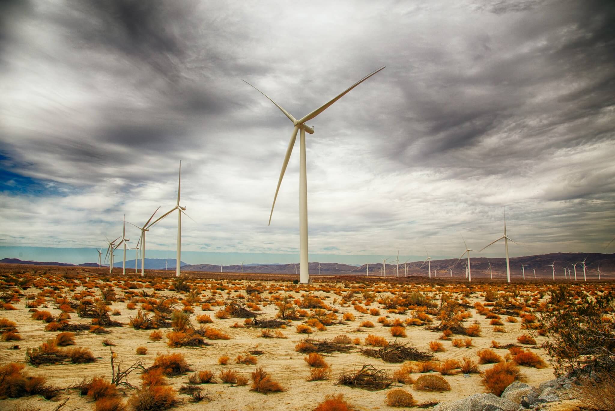 Wind turbines at the east entrance of the Anza Borrego Desert, west of San Diego.