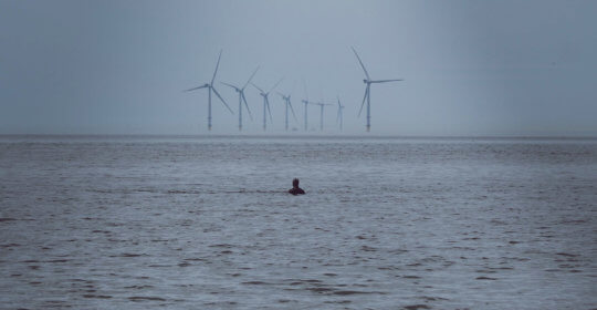 A man swimming in the ocean with offshore wind turbines in the background.