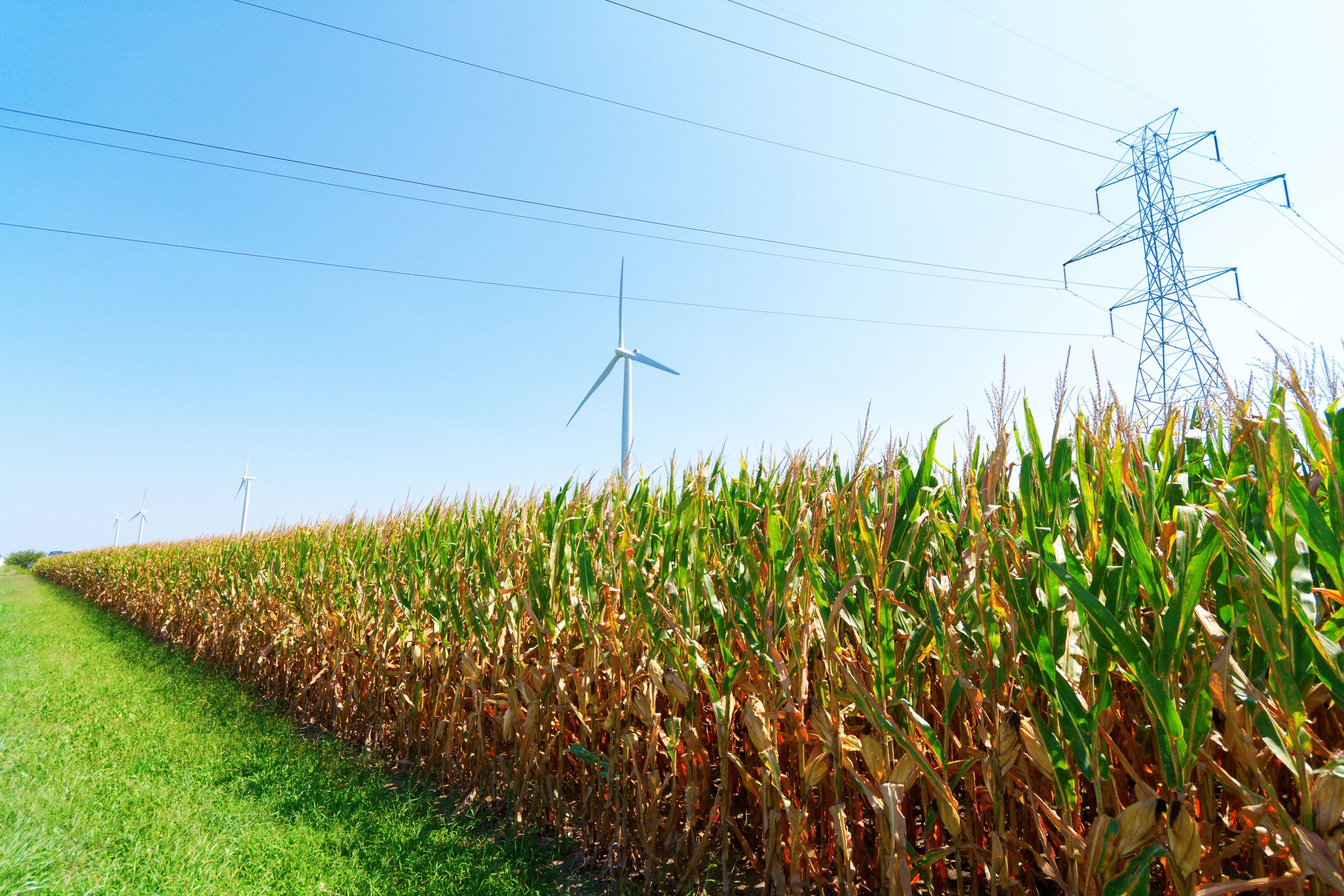 Wind turbines have little to no impact on property values, study finds