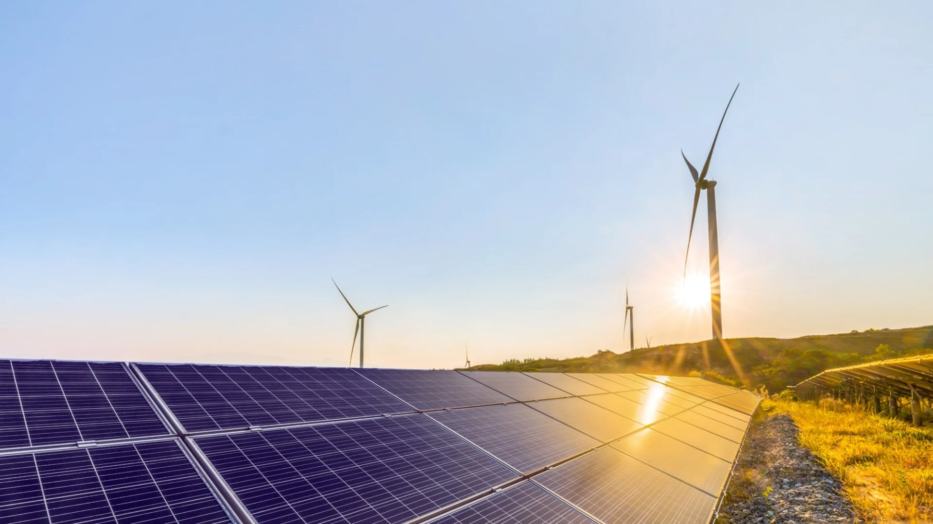 Photograph of solar panels in the foreground with wind turbines in the background against a clear blue sky.