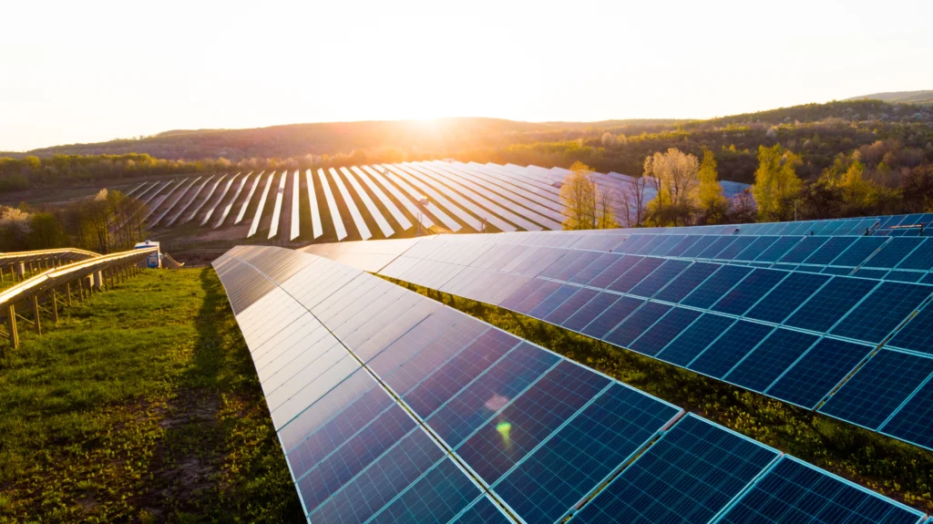 Rows of solar panels on top of a grassy field at sunset.