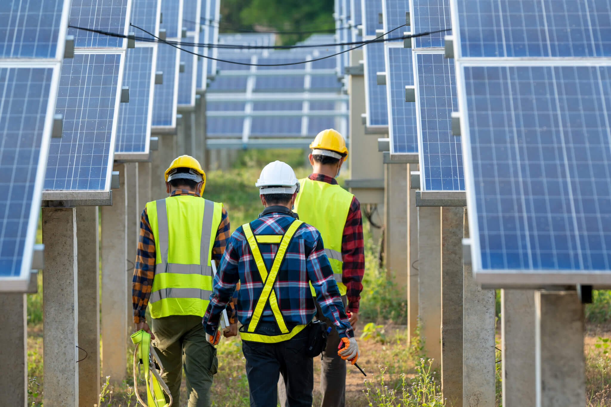 Three solar technicians walk between panels.