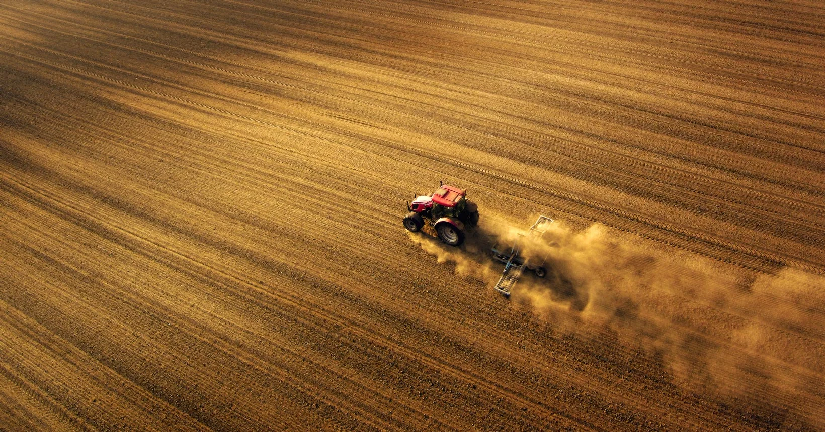 An Electric Combine Harvester on a Wheat Field.