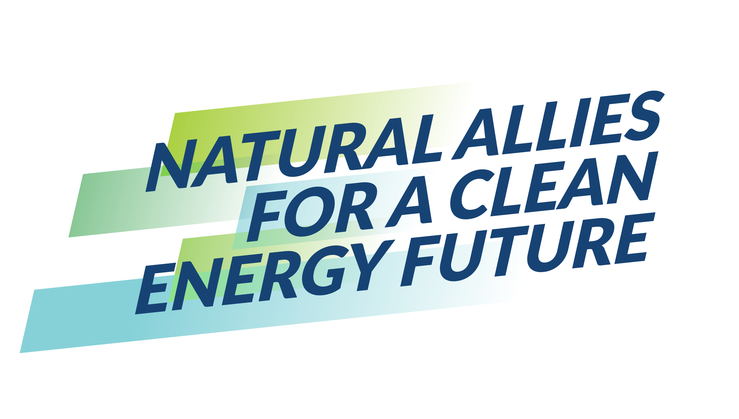 Logo of ACP Conference Sponsor Natural Allies for a Clean Energy Future.