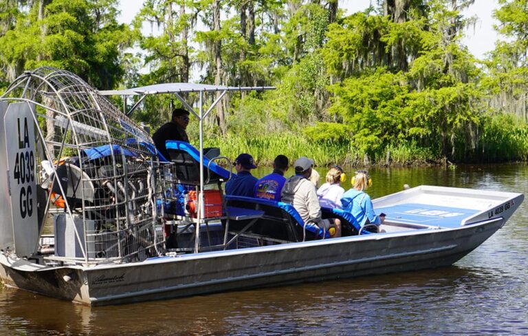 An Airboat Travels a Louisiana Swamp.