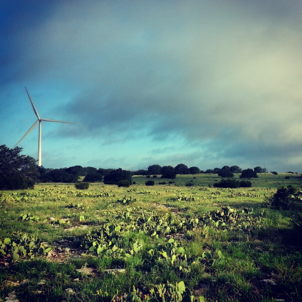The Goldthwaite Wind Project in Austin, TX. A green field wth trees along the horizon and one turbine poking out of the treeline.