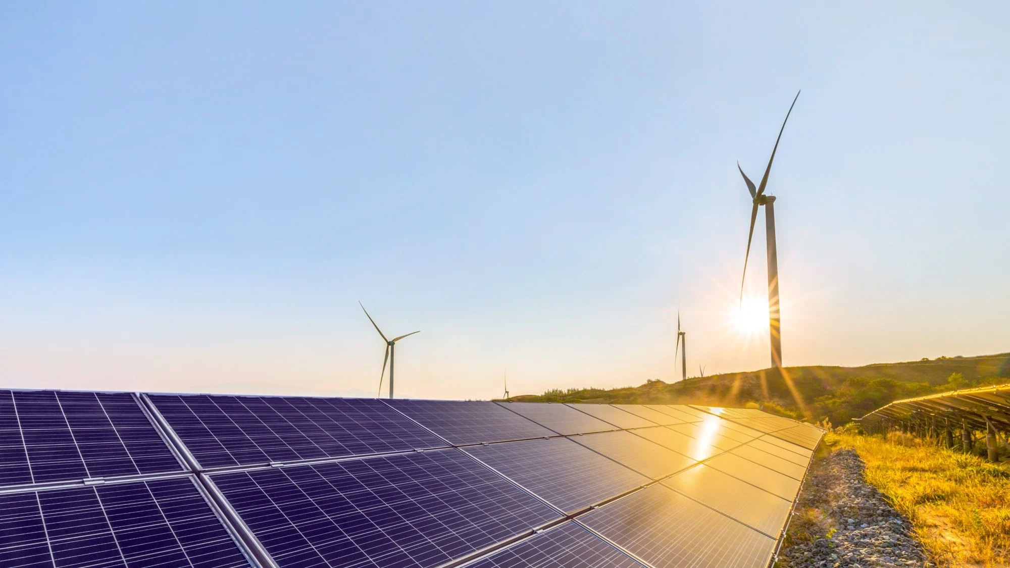 Solar panels rest on the ground with wind turbines seen in the background, the sun is reflecting off the solar panels and the sky is a pale blue