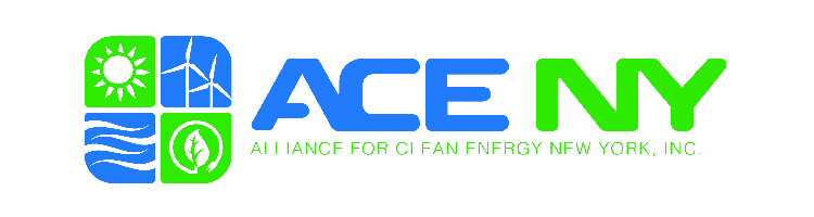 ACE NY Logo