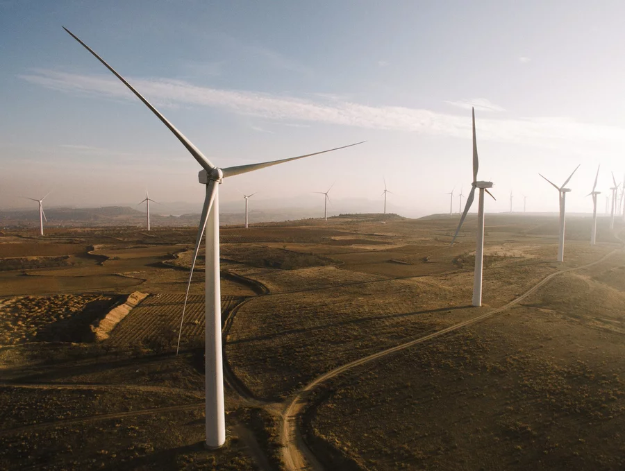 wind turbines in a field