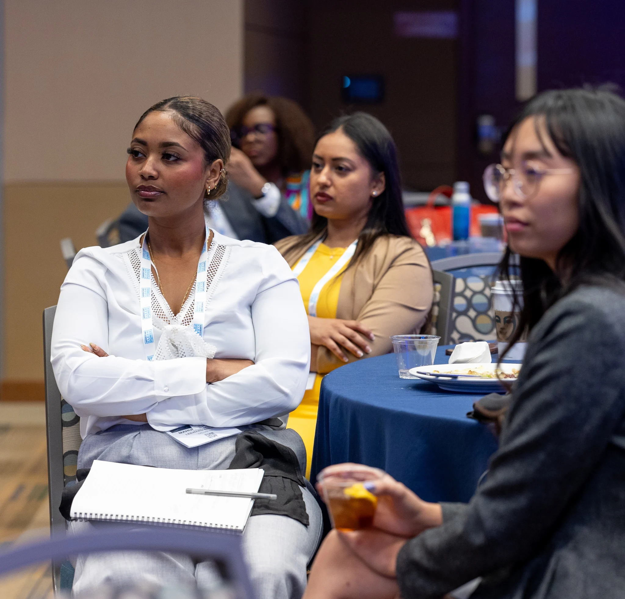 CLEANPOWER In Color attendees