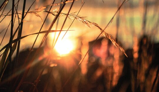 Catching rays wherever they are