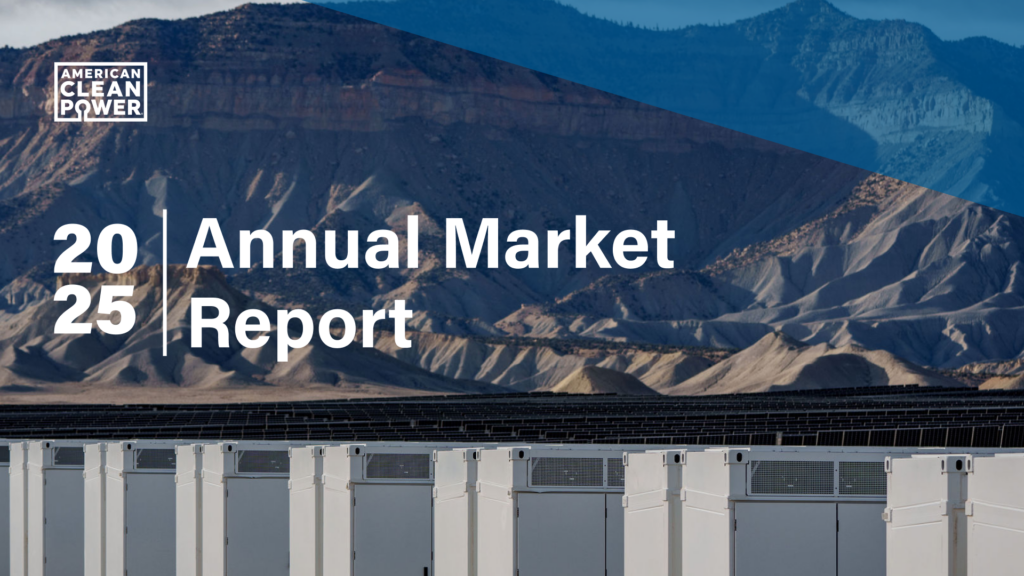 ACP Annual Market Report 2025