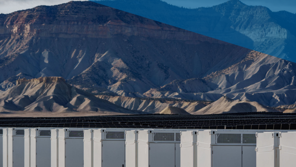 annual market report 2025 background image