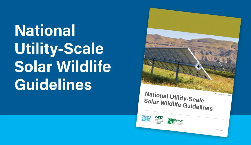 National Utility Scale Solar Wildlife Guidelines